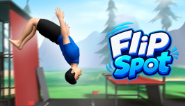 Flip Spot img