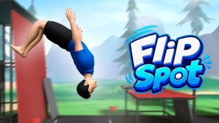 Flip Spot img