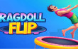 Ragdoll Flip img